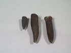 Belemnites brevis