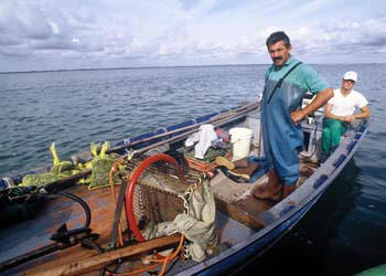 Pescatori di vongole nella Sacca di Goro: in primo piano la rasca utilizzata per la raccolta dei molluschi (P)