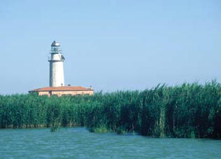 Faro di Goro visto dalle Valli di Gorino (P)