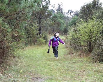 Orienteering