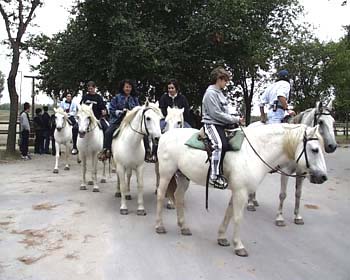 Gruppo